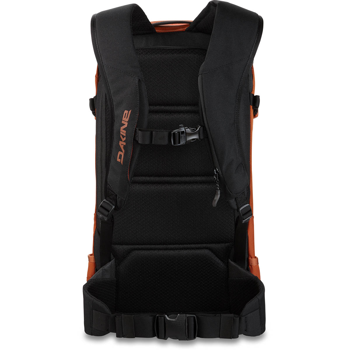 Dakine Heli Pro 24L Backpack | D&Q
